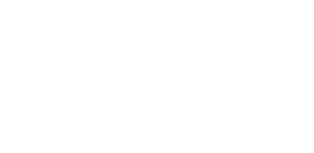 South Vue Demolition